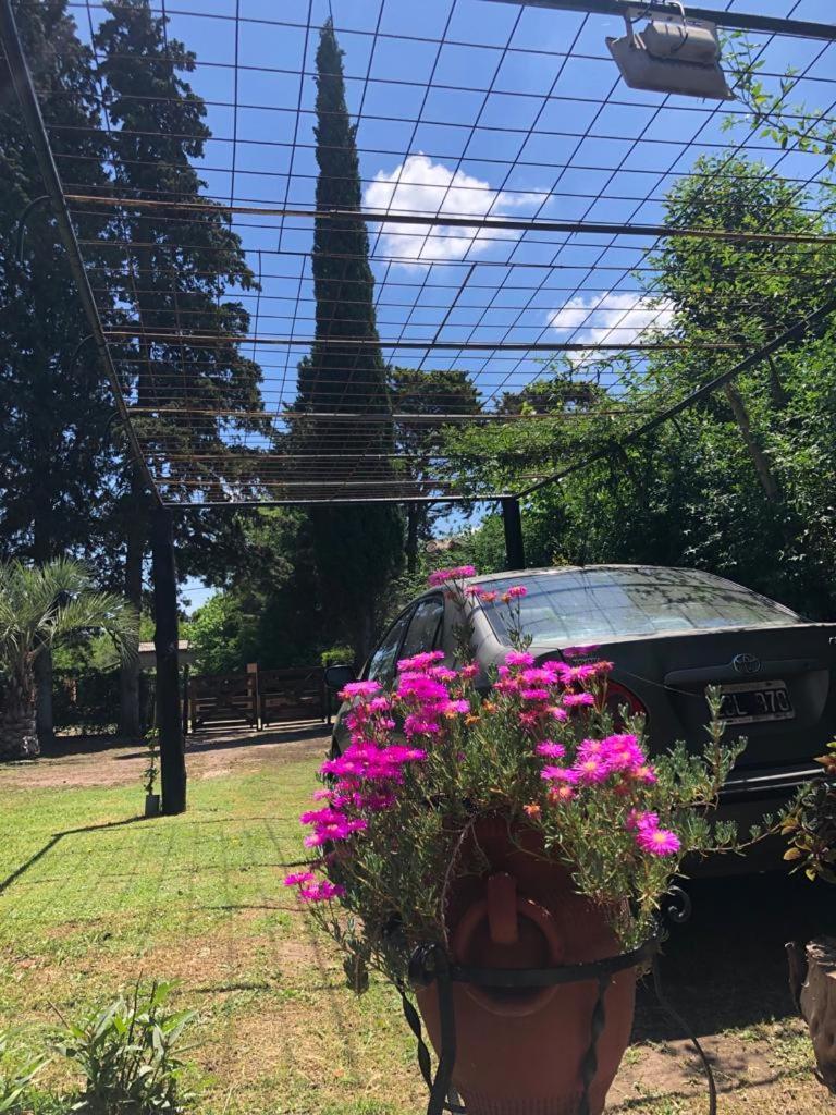 Willa Ezeiza Quinta Cedro Azul 10 Min Del Aeropuerto Zewnętrze zdjęcie